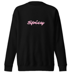 Pull à col rond Spicy